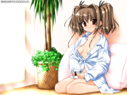176110 (a): :1024x768
